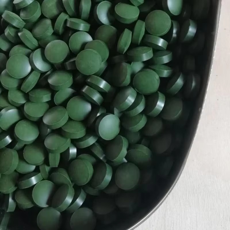 Marine Aquarium Bacteria - 100-3000pc comprimés de spiruline de haute