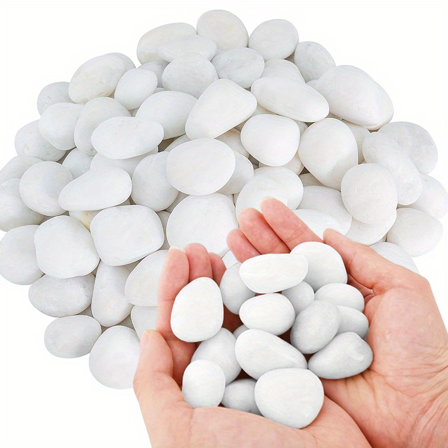 Aquarium Marine Fish - Cerfsets naturels blancs hautement polis, 200/400g,