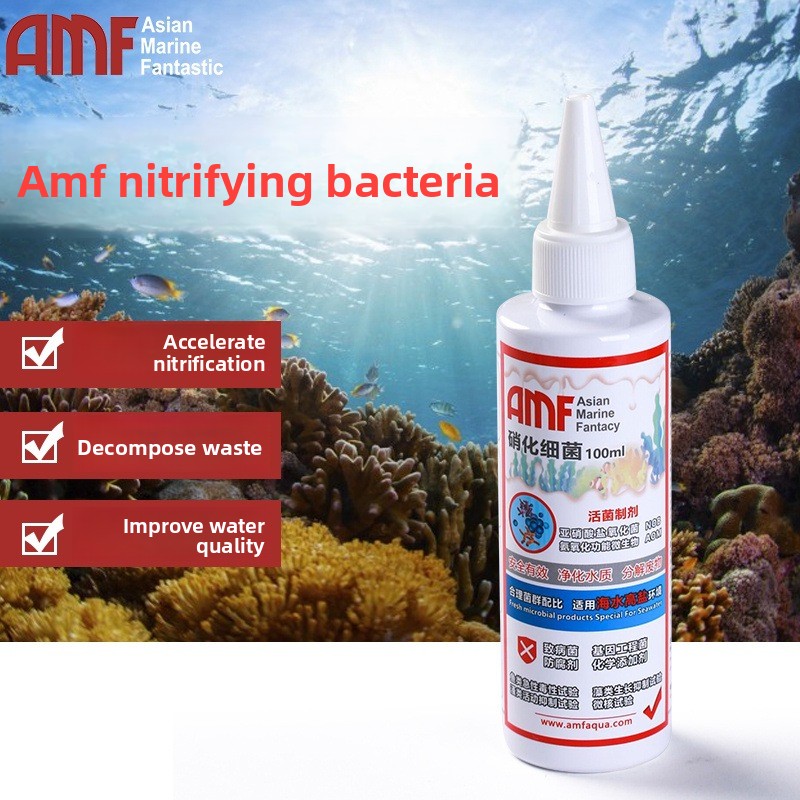 Marine Aquarium Bacteria - AMF – supplément d'aquarium à bactéries