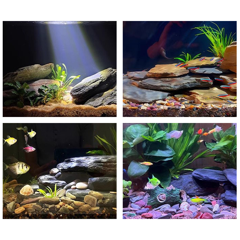 Kit de pierres paysagères pour - Aquarium Marine Fish avis et prix