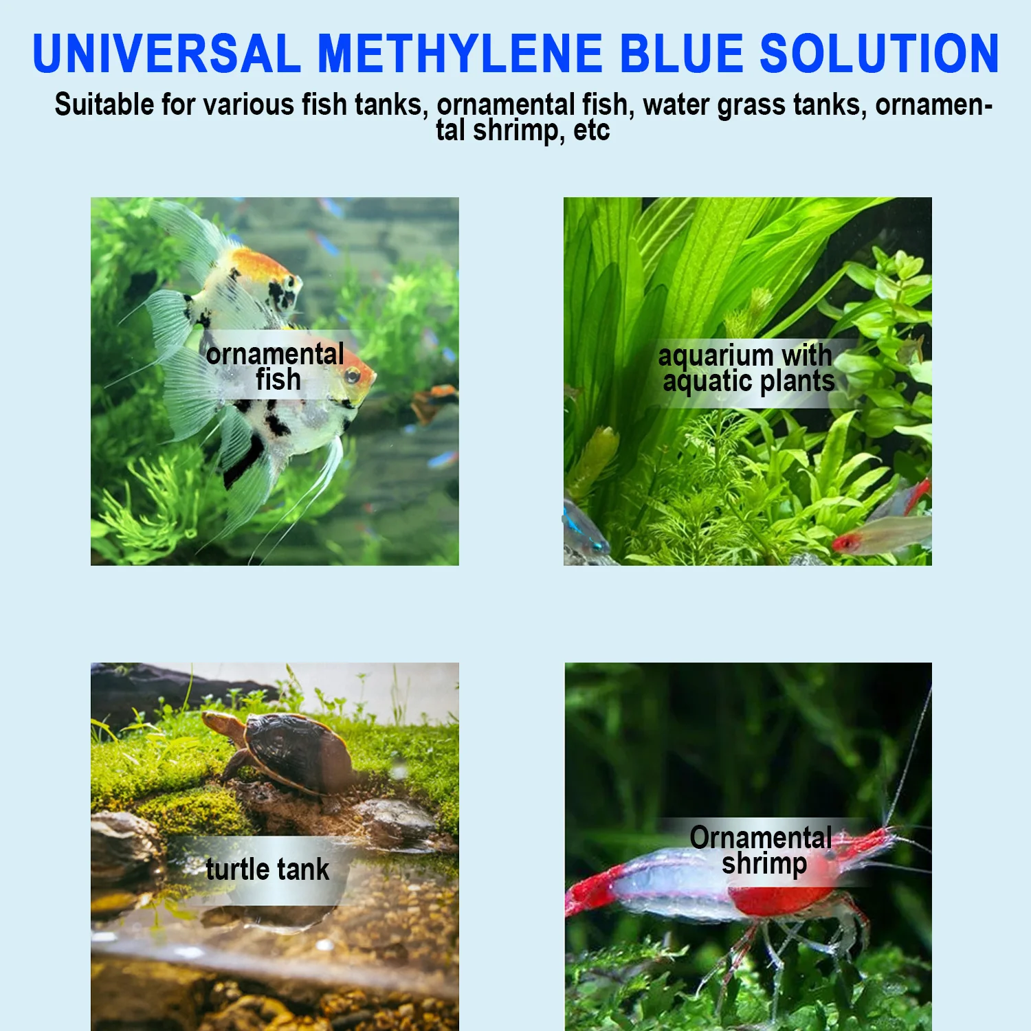 Traitement pour poissons d'aqu - Marine Aquarium Bacteria avis et prix