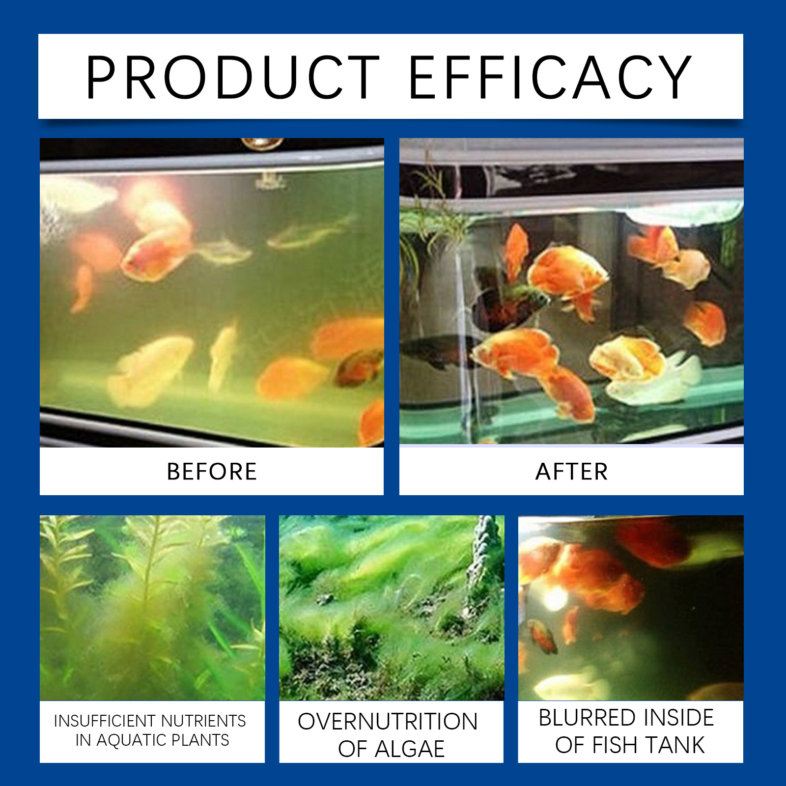 Chiarificateur d'eau d'aquariu - Marine Aquarium Bacteria avis et prix