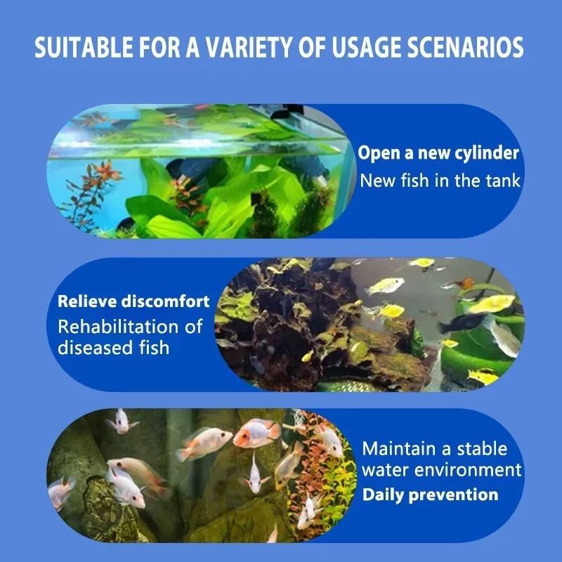 SIKEZHAN Traitement des maladi - Marine Aquarium Bacteria avis et prix