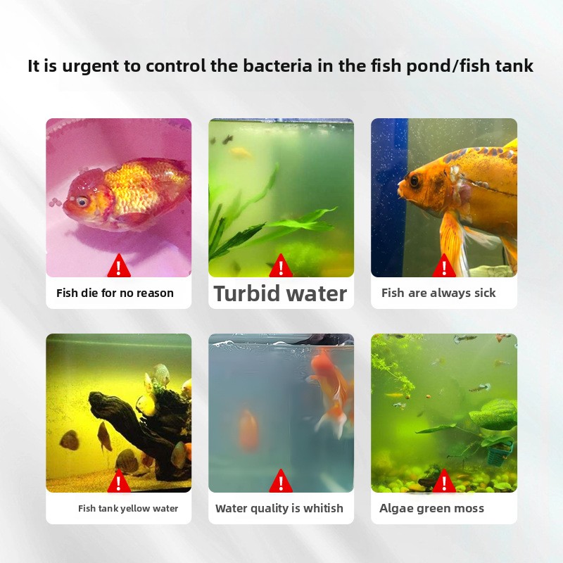 HUACHU Sel d'aquarium pour poi - Marine Aquarium Bacteria avis et prix