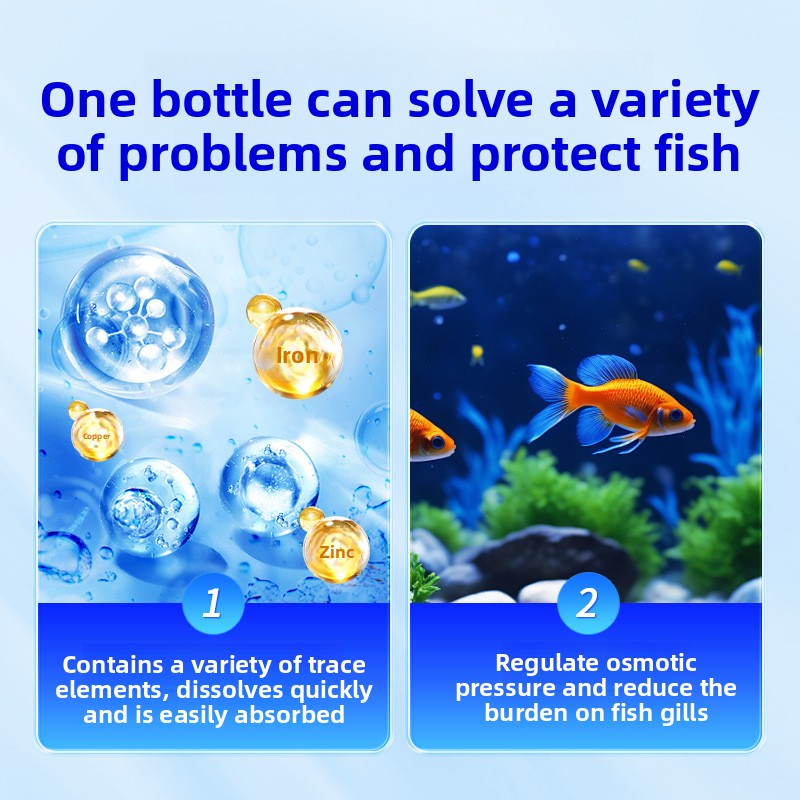HUACHU Sel d'aquarium pour poi - Marine Aquarium Bacteria avis et prix