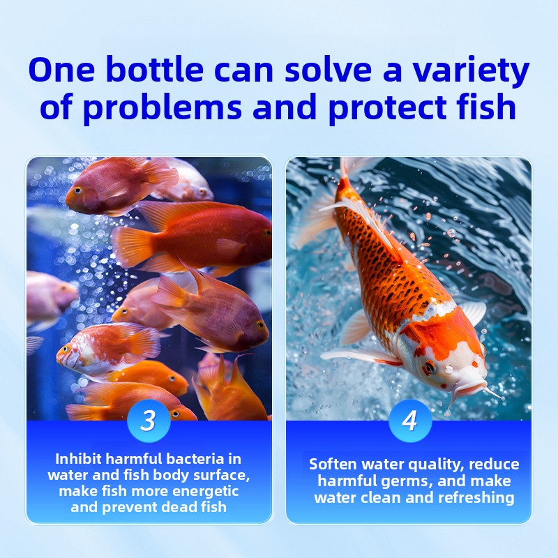 HUACHU Sel d'aquarium pour poi - Marine Aquarium Bacteria avis et prix