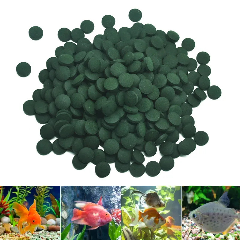 50-300 pièces comprimés de spi - Marine Aquarium Bacteria avis et prix