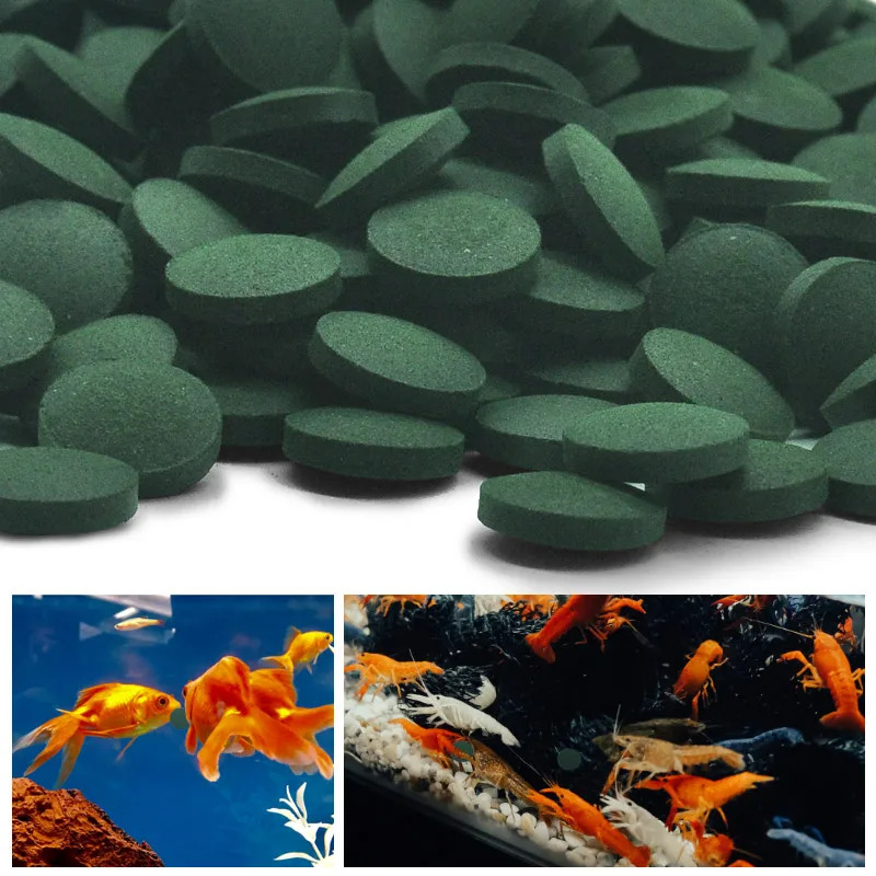 50-300 pièces comprimés de spi - Marine Aquarium Bacteria avis et prix