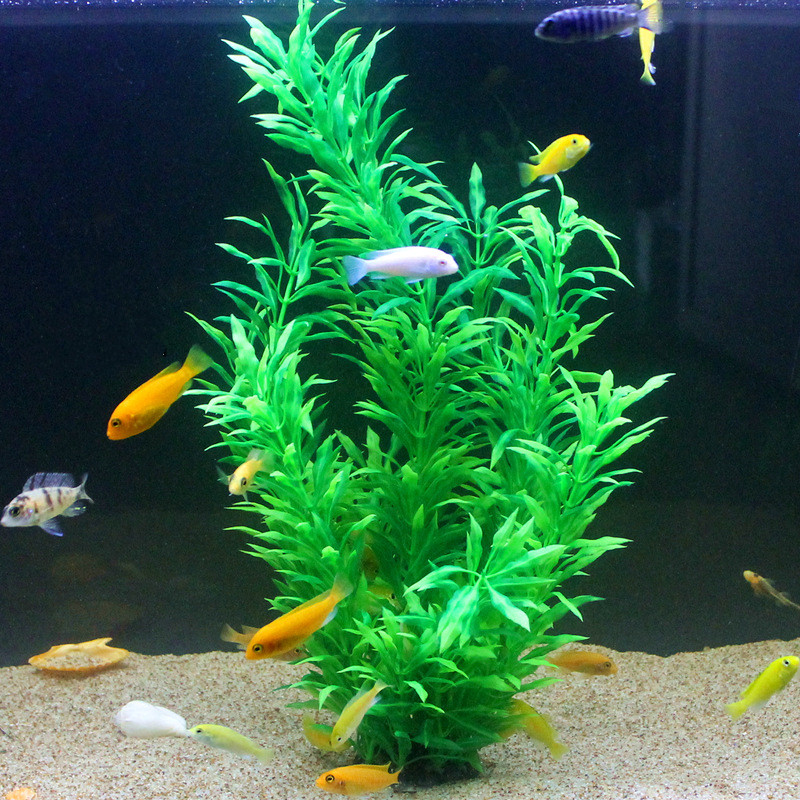 Plantes artificielles pour aqu - Aquarium Marine Fish avis et prix